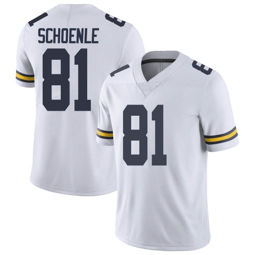 Nate Schoenle Michigan Wolverines Youth NCAA #81 White Limited Brand Jordan College Stitched Football Jersey ODJ2154VQ
